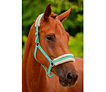 Teddy Fleece Headcollar Super Price III