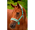 Teddy Fleece Headcollar Super Price III