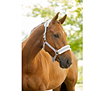Teddy Fleece Headcollar Super Price III