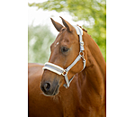 Teddy Fleece Headcollar Super Price III