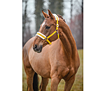 Teddy Fleece Headcollar Super Price III