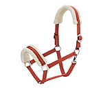 Teddy Fleece Headcollar Super Price III