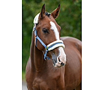 Teddy Fleece Headcollar Super Price III