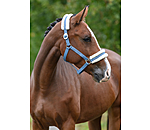 Teddy Fleece Headcollar Super Price III