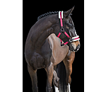 Teddy Fleece Headcollar Super Price III