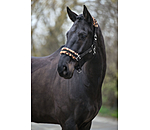 Teddy Fleece Headcollar Super Price III