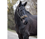Teddy Fleece Headcollar Super Price III