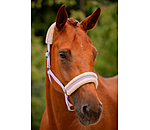 Teddy Fleece Headcollar Super Price III