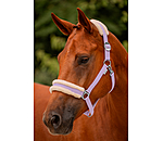 Teddy Fleece Headcollar Super Price III