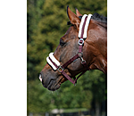 Teddy Fleece Headcollar Super Price III