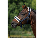 Teddy Fleece Headcollar Super Price III