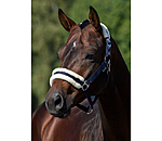 Teddy Fleece Headcollar Super Price III