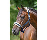 Teddy Fleece Headcollar Super Price III