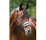 Teddy Fleece Headcollar Super Price III