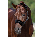 Teddy Fleece Headcollar Super Price III