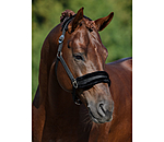 Teddy Fleece Headcollar Super Price III