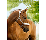 Teddy Fleece Headcollar Super Price III