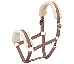 Teddy Fleece Headcollar Super Price III