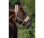 Teddy Fleece Headcollar Super Price III