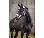 Teddy Fleece Headcollar Super Price III