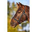 Field Headcollar Safety