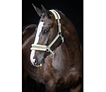 Teddy Fleece Headcollar Essential II