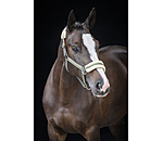 Teddy Fleece Headcollar Essential II