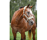 Teddy Fleece Headcollar Essential II