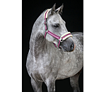 Teddy Fleece Headcollar Essential II