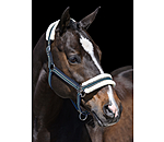 Teddy Fleece Headcollar Essential II