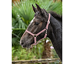 Foal and Shetland Pony Headcollar Grow With You