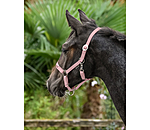 Foal and Shetland Headcollar Grow With You