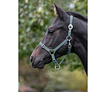 Foal and Shetland Pony Headcollar Grow With You