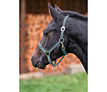 Foal and Shetland Pony Headcollar Grow With You