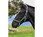 Foal and Shetland Pony Headcollar Grow With You