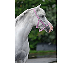 Foal and Shetland Pony Headcollar Grow With You