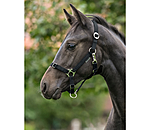 Foal and Shetland Pony Headcollar Grow With You