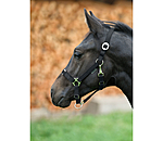 Foal and Shetland Pony Headcollar Grow With You