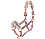 Teddy Fleece Headcollar Better Together