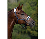 Teddy Fleece Headcollar Better Together