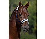 Teddy Fleece Headcollar Better Together