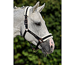 Teddy Fleece Headcollar Better Together