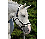 Teddy Fleece Headcollar Better Together