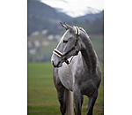 Teddy Fleece Headcollar Better Together