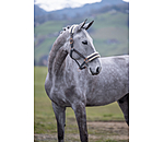 Teddy Fleece Headcollar Better Together