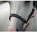 Foal and Shetland Headcollar Future Star