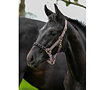 Foal and Shetland Pony Headcollar Future Star