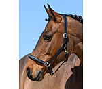 Leather Headcollar Selina with Glitter Stones