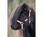 Foal & Shetland Pony Headcollar Katy