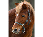 Foal & Shetland Pony Headcollar Katy